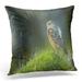 ECCOT Bird Extremely Rare Juvenile Rock Thrush Monticola Saxatilis Perched on Mossy Mound in Wales UK Wildlife Pillowcase Pillow Cover Cushion Case 20x20 inch