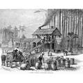 Turpentine Distillery. /Nafrican Americans Working In A Turpentine Distillery In The Pine Woods Of North Carolina. Wood Engraving American Mid