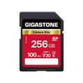 Gigastone 256GB SD Card, Camera Plus, V30 SDXC Memory Card High Speed UHD Video Compatible with Canon Nikon Sony Pentax Kodak Olympus Panasonic Digital Camera, with 1 Mini case