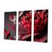 Red Barrel Studio® Blossoming Rose in Red & Gray II - 3 Piece Print on Canvas Metal in Black/Red | 32 H x 48 W x 1 D in | Wayfair