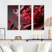 Red Barrel Studio® Blossoming Rose in Red & Gray II - 3 Piece Print on Canvas Metal in Black/Red | 32 H x 48 W x 1 D in | Wayfair