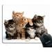 Cats Mouse pad for Computers Kittens Family Cats Mouse Pad
