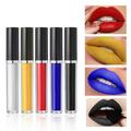 Feiboyy Color Matching Lip Glaze Set Silk Soft Mist Lip Color Liquid Lipstick Matching Color Matching Instructions Lipstick 15Ml