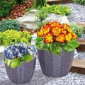Set 2 Vases à plantes d'extérieur caspo' Intreccio Polyrattan Couleur Gris