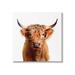 Stupell Highland Cow Farmhouse Fun Glasses Animals & Insects Painting Gallery Wrapped Canvas Print Wall Art