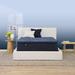 Twin Firm 14.5" Mattress - Serta Perfect Sleeper Oasis Sleep Pillow Top | 74.5 H x 38 W 14.5 D in Wayfair 500103173-1010