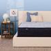 Full 13.5" Mattress - Serta Perfect Sleeper Nurture Night Plush | 74.5 H x 54 W 13.5 D in Wayfair 500304012-1030