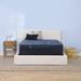 California King 14" Hybrid Mattress - Serta Perfect Sleeper Radiant Rest Plush | 83.5 H x 72 W 14 D in Wayfair 500108962-1070
