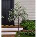 Primrue 70.5" Artificial Eucalyptus Tree Plastic | 70.5 H x 49 W x 49 D in | Wayfair 1BEC007D325346EFBEBD90852FF8B4AC