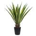 38in Yellow Green Artificial Agave Succulent Plant in Tiered Black Pot - 38" H x 28" W x 28" DP