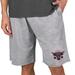 Men's Concepts Sport Gray The Rock Mainstream Terry Tri-Blend Shorts