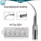 Embouts ultrasoniques dentaires BG-series d'AI pour la mise à l'échelle supragingivale/endodontie