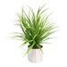 Primrue 21" Artificial Grass in Pot Ceramic/Plastic | 21 H x 18 W x 18 D in | Wayfair 041B28A3E5234608AA40B17237307701