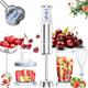 Hand Blender, 5-in-1 Stainless Steel Electric Stick Blender 1000W, 24 Speeds Adjustable, Baby Food Blender with Egg Whisk, Frother, 500ml Chopper, 600ml Measuring Cup, BPA Free Food Processor