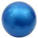 55cm/65cm Exercise Ball Yoga Ball Explosion-Proof Smooth/Frosting Soft Yoga Balls for Full Body Training