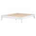 CDecor Home Furnishings Spivey Platform Bed Wood in White | 14.75 H x 80.25 W x 85.5 D in | Wayfair 305905KW