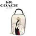 Coach Bags | Coach Disney Cruella Crossbody Bag Nwt Still In Plastic | Color: Black/White | Size: Os