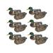 Mayhem Decoys by Heavy Hauler Outdoor Gear Mallard Floater Decoy 12 Pack Painted Head Drake 0153MP