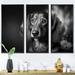 Latitude Run® Black Dachshund w/ Flower Black Dachshund w/ Flower - 3 Piece Print on Canvas in White | 28 H x 36 W x 1 D in | Wayfair