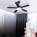 mollie 52 Ceiling Fan with Lights and Remote Control Patio Ceiling Fan with 5 Reversible Wooden Blades Ceiling fan with 3 Color LED Light for Pavilion Warehouse Black