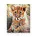 Stupell Baby Lion Resting Animal Nature Animals & Insects Painting Gallery Wrapped Canvas Print Wall Art