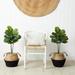 Nearly Natural 3 Artificial Fiddle Leaf Fig Tree DIY Kit - Set of 2
