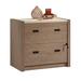 Inbox Zero Lamisha 32.992" Wide 2 -Drawer File Cabinet Wood in Brown | 29.724 H x 32.992 W x 20 D in | Wayfair 502C57901C7049AE8E625104FF2626FD