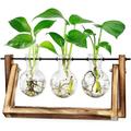 Hydroponic Vase Hanging Vase - Decorative Wooden Holder with Hydroponic Glass Vase Desktop Plant Terrarium Creative Glass Transparent Vase for Hydroponic Plants 3 Vases F118365