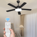 Magshion 52 Ceiling Fan with Lights and Remote Control Patio Ceiling Fan with 5 Reversible Wooden Blades Ceiling fan with 3 Color LED Light for Pavilion Warehouse Black