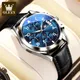 OLEVS Men's Watches Top Brand Original Quartz Wristwatch Chronograph Date Waterproof Luminous Watch