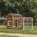 Tucker Murphy Pet™ Darrant 50 Square Feet Chicken Coop w/ Nesting Box, Wood in Brown | 44.5 H x 80.9 W x 48.38 D in | Wayfair