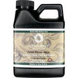 Foliar Pecan Juice - 16 fl. oz. - Liquid Fertilizer - 8.489% Zinc Plus Iron Manganese and