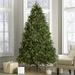 Three Posts™ Newberry Spruce Green Artificial Christmas Tree w/ Clear/White Lights in Black | 7.5' | Wayfair C84C4C2CF4FE46E5AA82C0F7A6258612