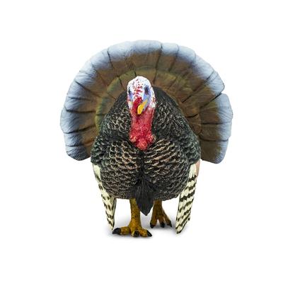Safari Ltd Turkey Toy Figure