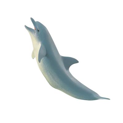 Safari Ltd Dolphin Toy Figure