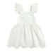 Musuos Baby Girls Ruffle Trim Dress Pleated Button Up Hollow Out Floral Beach Dresses