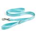 Turquoise Dog Lead, 6 ft., X-Small, Teal
