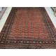 8x10 Rust Color Bokhara Rug - Area Rug - Green Rug - Pure Wool Rug - Living Room Rug - Rug online - Kitchen Rug - Hand knotted Rug