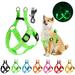 Gustave Light Up Dog Harness Rechargeable LED Reflective Pet Harness Collar Glow in the Dark Adjustable No Pull Dog Vest Harness for Small Medium Large Dogs Walking Training Green M