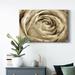 Winston Porter Neutral Wall Flower IV - Print Canvas, Solid Wood in Brown/Gray | 18 H x 27 W x 1.5 D in | Wayfair C526937115BD4662BBDF2EF0A8DCA7B4