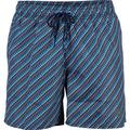 ARENA Herren Badeshorts MEN'S BEACH BOXER ALLOVER, Größe XXL in Bunt