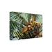 Bay Isle Home™ Suzanne Wilkins 'Los Cocos' Outdoor Canvas Metal in Brown/Green | 22 H x 32 W x 1.5 D in | Wayfair 0896FBED7E9341EC91CA559332DAB30C