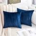 BESTSPR 2 Pcs Velvet Throw Pillow Covers Decorative Soft Solid Outdoor Cushion Covers for Couch Bed Sofa