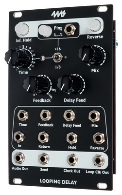 4ms Looping Delay