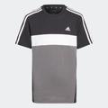 T-Shirt ADIDAS SPORTSWEAR "TIBERIO 3-STREIFEN COLORBLOCK COTTON KIDS" Gr. 140, schwarz (black, grey five, white) Kinder Shirts T-Shirts
