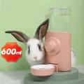 Distributeur d'eau automatique de grande capacité pour lapin Siphon bouilloire d'alimentation