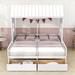 Pusch Twin Size 2 Drawers Wooden House Platform Bed by Gracie Oaks Wood in White | 80 H x 83 W x 80 D in | Wayfair 1D44D5BAC2BB427FAF32E27BFB80B16E