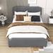 Red Barrel Studio® Oleanna Queen Size 4 Drawers Platform Bed Wood & /Upholstered/Velvet in Gray | 39 H x 64 W x 85.4 D in | Wayfair