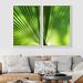 SIGNLEADER Canvas Print Wall Art Set Green Fan Palm Leaf In Sunlight Nature Wilderness Photography Modern Art Rustic Relax/Calm Multicolor For Living | Wayfair