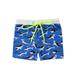 Kids Toddler Baby Boy Swim Trunks Shark Stripe Print Swim Wear Shorts Summer Swimsuit Beach Bathing Suit Short Pants